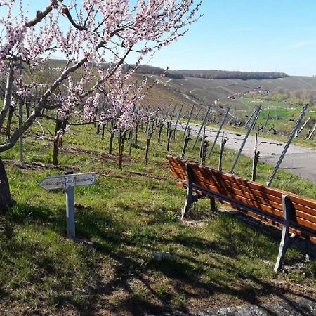 Ferienwohnung - Zimmervermietung Ringelmann Dettelbach Luaran gambar