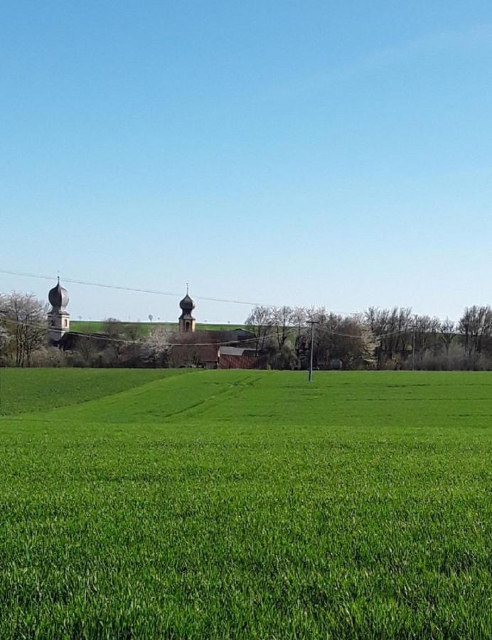 Ferienwohnung - Zimmervermietung Ringelmann Dettelbach Luaran gambar
